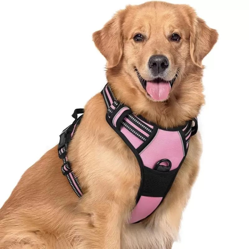 honden harnas