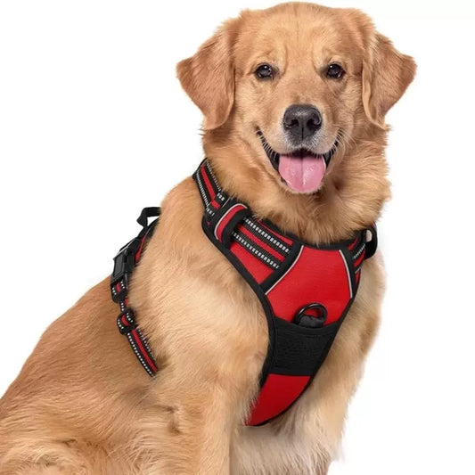 honden harnas