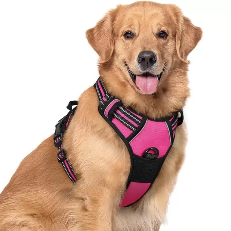 honden harnas